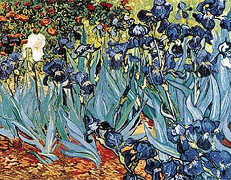 Hot Stuff 2075-11x14-GC 11 x 14 in. Irises Poster Print by Van Gogh