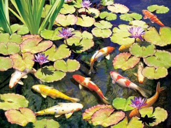Porterfields PPFRS027 Koi Pond IV Poster Print by Rosiland Solomon&#44; 12 x 9