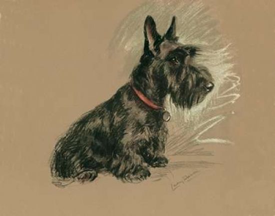 Porter Design PDXLD08SMALL Scottish Terrier Nanette Poster Print by Lucy Dawson&#44; 10 x 12 - Small