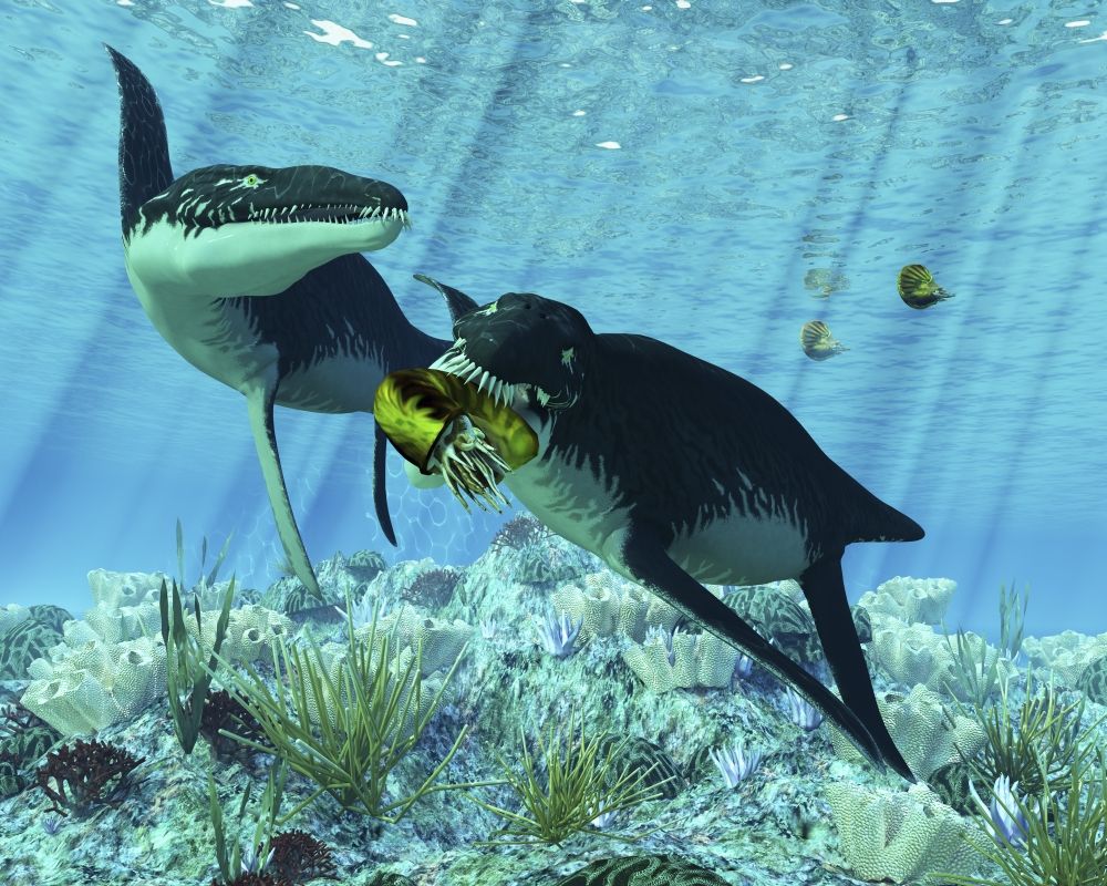 StockTrek Images PSTCFR200110P Liopleurodon Eating An Ammonite. Liopleurodon Are Large Carnivorous Marine Reptiles From The Jurassic Era Poster Print&#44; 15 x 12