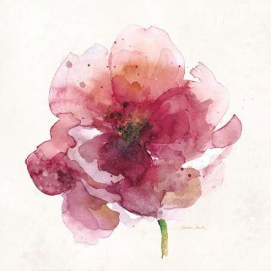 Art In Motion PDX400SMI1154SMALL Watery Red Bloom 2 Poster Print by Sandra Smith&#44; 12 x 12 - Small