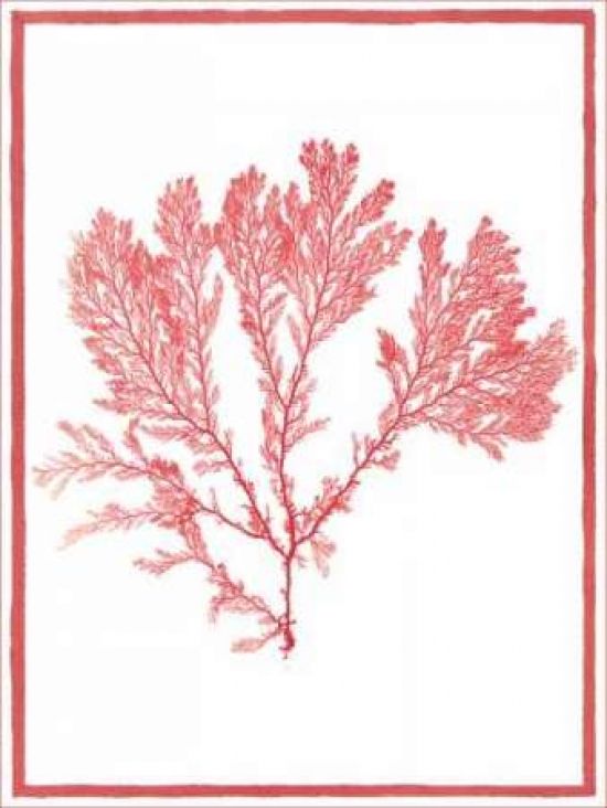 Classic Collections PDXCC2480ASMALL Sea Things I Poster Print by Sarah E Chilton&#44; 9 x 12 - Small