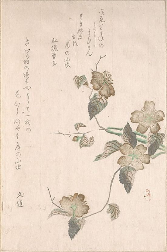 Public Domain Images MET53969 Yamabuki Flowers&#44; Kerria Japonica Poster Print by Unidentified Artist&#44; 18 x 24