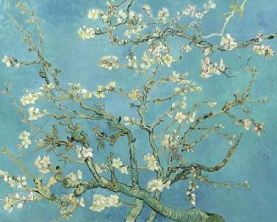 Image Conscious PDXV551DLARGE Almond Blossoms 1890 Poster Print by Vincent Van Gogh&#44; 24 x 30 - Large