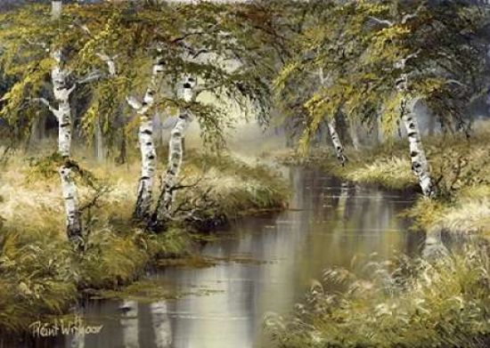 Sjartin Art PDXRW199022LARGE Forest Creation Poster Print by Reint Withaar&#44; 20 x 28 - Large
