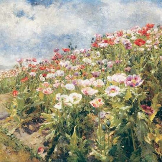 Classic Collections PDXCC2821LARGE Seaside Poppies Poster Print by Egner Marie&#44; 24 x 24 - Large