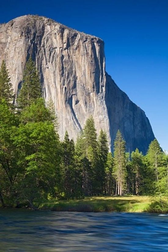 Danita Delimont PDDUS05JWI0203B El Capitan & Merced River Yosemite Np Ca Poster Print by Jamie & Judy Wild&#44; 11 x 17