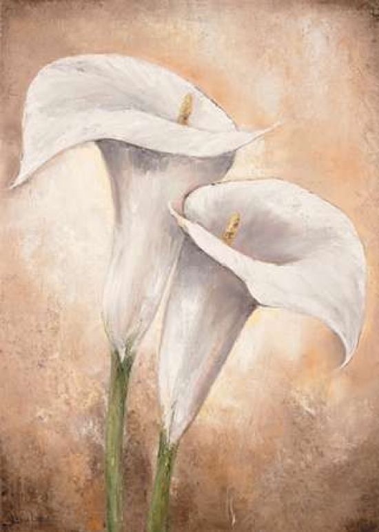 May Licensing PDXMLV450SMALL Calla Lilly II Poster Print by Lenna Lotus&#44; 10 x 14 - Small