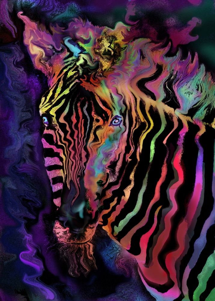 MGL Licensing MGL601589LARGE Rainbow Zebra Poster Print by Alixandra Mullins&#44; 24 x 32 - Large