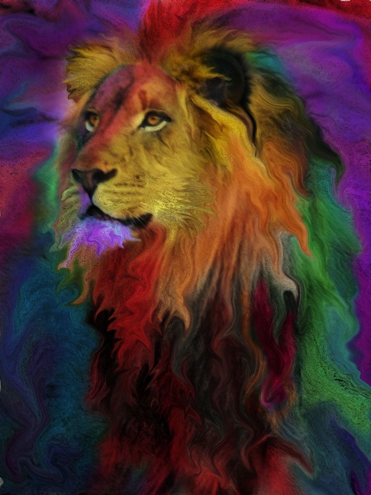 MGL Licensing MGL601049LARGE Rainbow Lion Poster Print by Alixandra Mullins&#44; 22 x 28 - Large