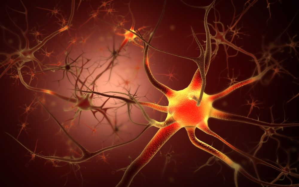 StockTrek Images PSTSTK700698HLARGE Conceptual Image of Neuron Poster Print&#44; 35 x 22 - Large