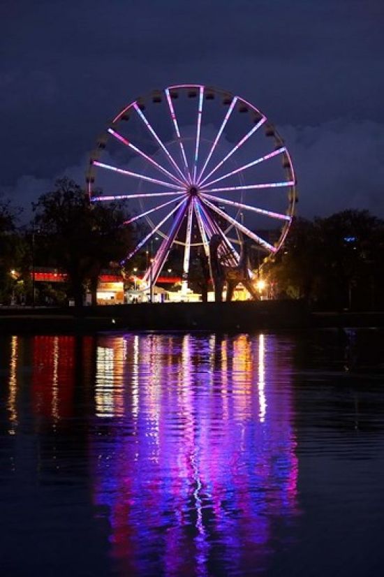 Danita Delimont PDDAU01DWA3708 Australia Melbourne Amusement Park Ferris Wheel Poster Print by David Wall&#44; 17 x 26