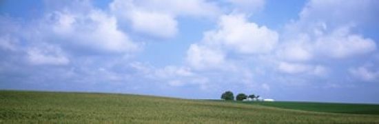 Panoramic Images PPI61854S Panoramic View of A Landscape Marshall County Iowa USA Poster Print&#44; 18 x 6