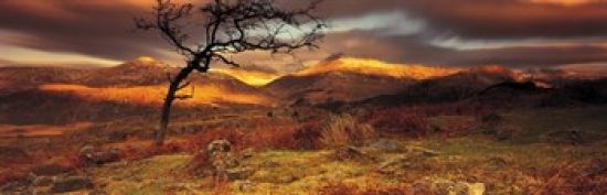 Panoramic Images PPI86148S Snowdonia National Park Wales United Kingdom Poster Print&#44; 18 x 6