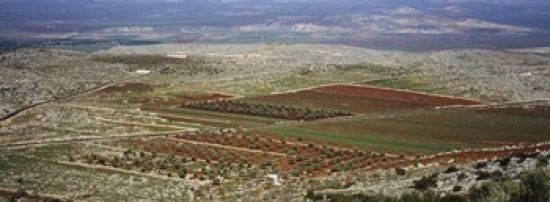 Panoramic Images PPI94603S Panoramic View of A Landscape Aleppo Syria Poster Print&#44; 18 x 7