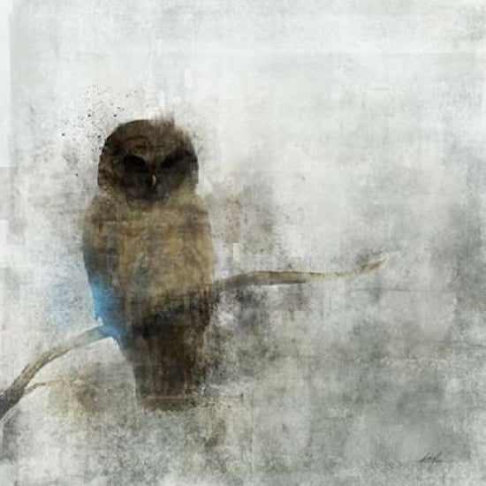 Art In Motion PDX476ROK1121SMALL Guardian Owl Poster Print by Ken Roko&#44; 12 x 12 - Small