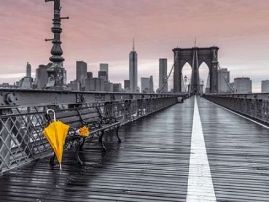 Assaf Frank Photography PDXAF20131116295C08LARGE Yellow Umbrella & Bunch of Roses On Bench On Pedestrian Pathway Brooklyn Bridge New York Poster Print by Assaf Frank&#44; 18 x 24 - Large