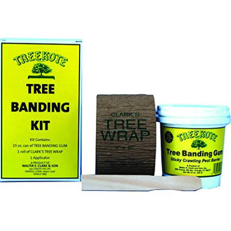 Eaton Brothers 223013 Tree Banding Gum Kit