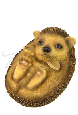 Unicorn Studios WU75733AA Baby Hedgehog Sitting Up & Head Tilting Right Figurine