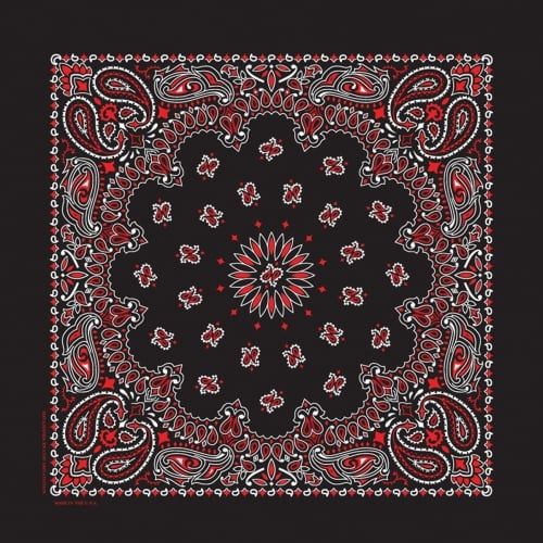 Carolina Manufacturing B22PAI00-0004 Hav-A-Hank Paisley Bandanna 22&quot;X22