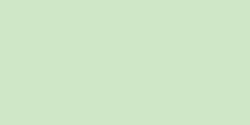 Lee Products 17411 Fluorescent Highlighter Tape .5 in. x 393 in. -Fluorescent Green 