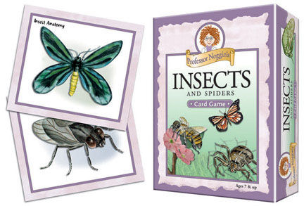 Outset Media Games OM10412 Noggin Insects and Spiders