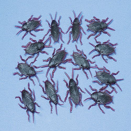 US Toy Company Cockroaches/72-Pc (14 Packs Of 72)