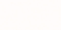 Mettler 105-002 Silk Finish Cotton Thread 164 Yards
