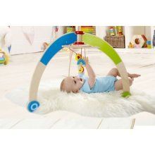 Hape International E0032 Wood My First Gym for Infant