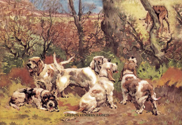 Buy Enlarge 0-587-04749-6P20x30 Griffon Vendeen Bassets- Paper Size P20x30