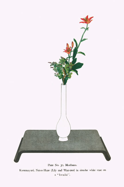 Buy Enlarge 0 587 26630 9p20x30 Kurumayuri And Natsu Haze Lily And Wax Tree In Slender White Vase Paper Size P20x30 Buy Online In Botswana At Botswana Desertcart Com Productid 113068080