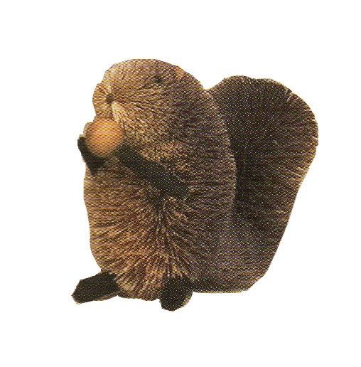 Brushart BRUSH78M Squirrel Grey with Nut 5 inch