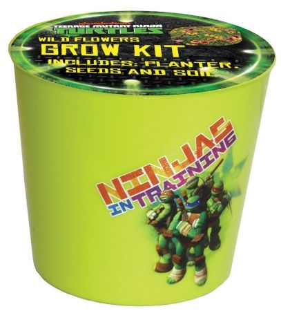Midwest Quality Glove TM16K Teenage Mutant Ninja Turtles Grow Kit Pack Of 6