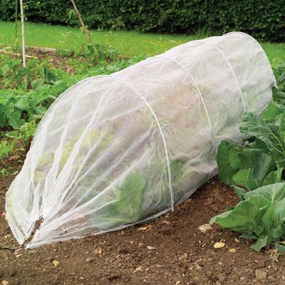 Gardman USA 7688Giant Tunel Cloche Plnt Protec