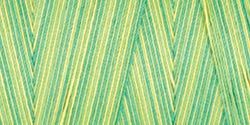 Star Mercerized Cotton Thread Variegated 1&#44;200yd-Spring Meadow