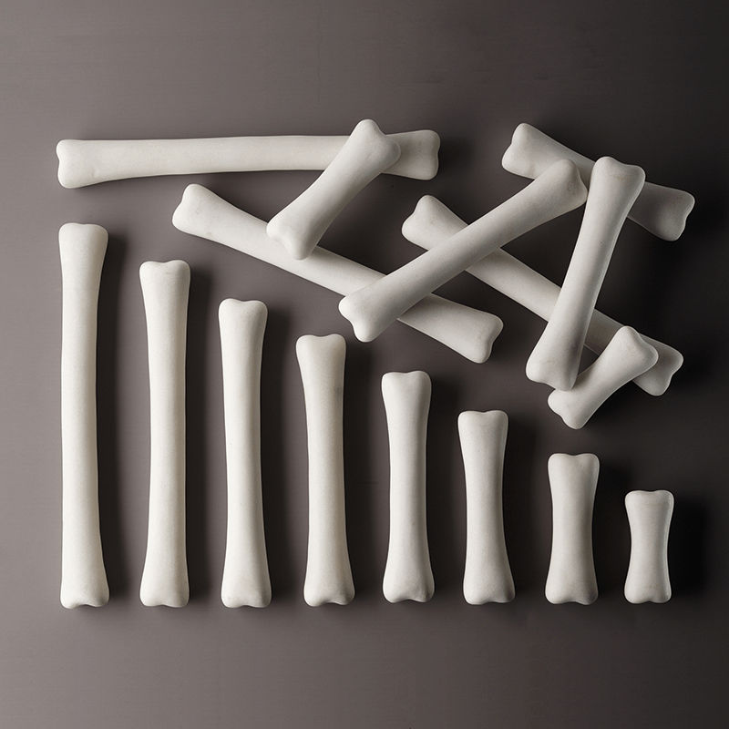 Yellow Door US YUS1033 Dinosaur Bones Match & Measure Set