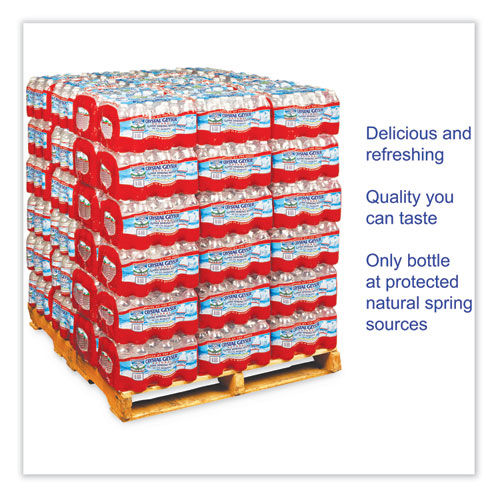 Alpine Spring Water, 16.9 oz Bottle, 24/Case, 84 Cases/Pallet