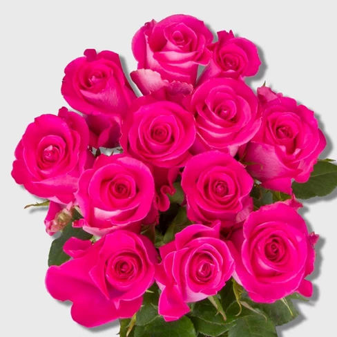 Valentine's Day Premium Dozen Rose Bouquet - Colors May Vary