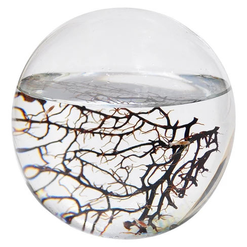 EcoSphere Medium Sphere 5.25"