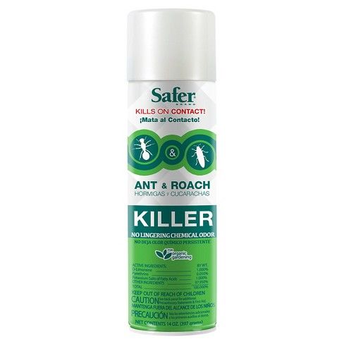 Ant And Roach Aerosol Insect Killer - Safer Brand