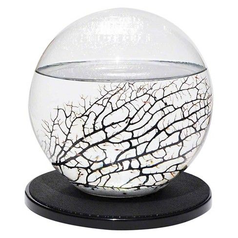 EcoSphere Sphere With Turntable Base Aquarium