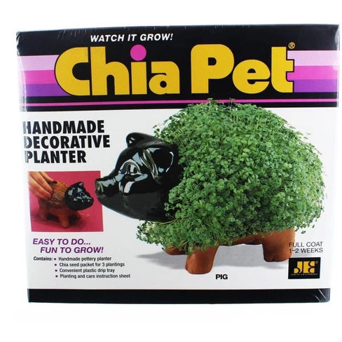 Chia Pet Grass Planter: Pig