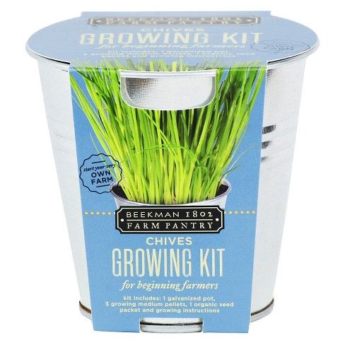 Beekman 1802 Farm Pantry Chives Growing Kit