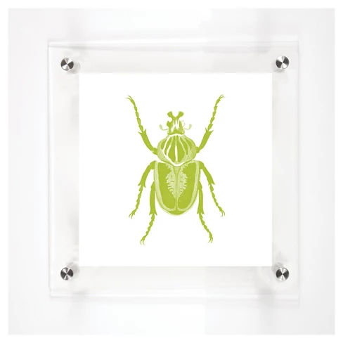 Mitchell Black Beetles John Decorative Framed Wall Canvas Kiwi (12"x12")