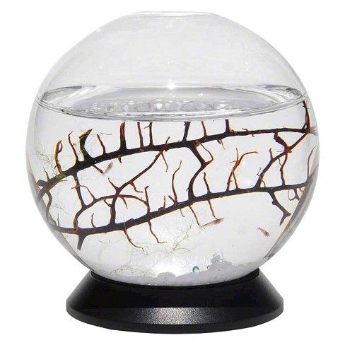 EcoSphere Sphere With Turntable Base Aquarium