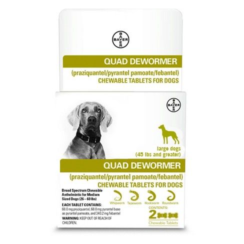 Bayer Quad Dewormer Chewable s for Dogs - Large - 26-60lbs