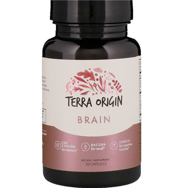 Terra Origin, Brain, 30 s