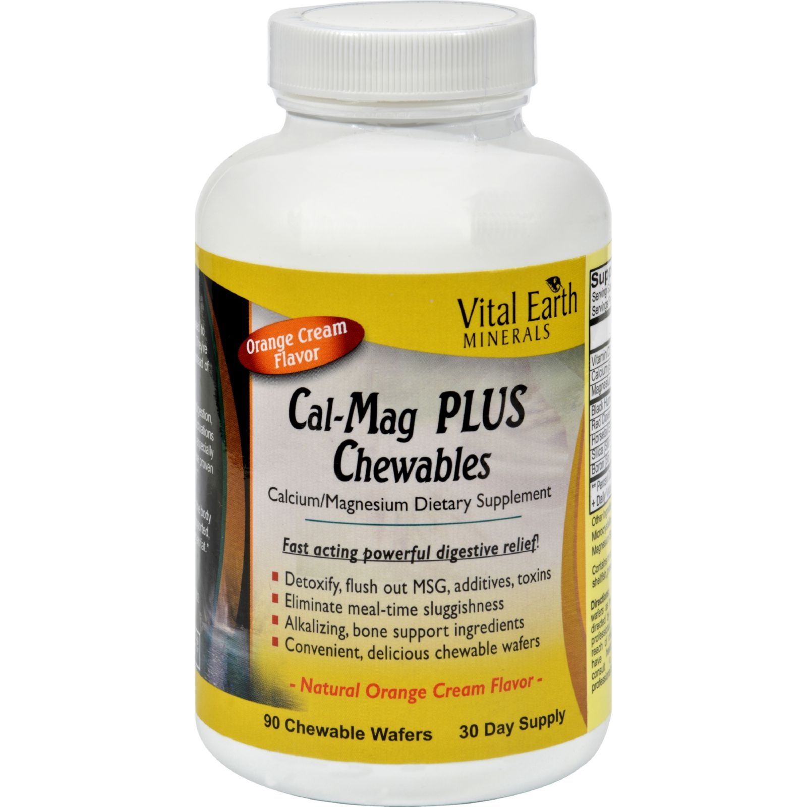 Vital Earth Minerals Calcium Magnesium Plus Chews - Orange - 90 Pack