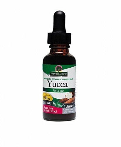 Nature's Answer, Yucca Root 1 Oz Ea 1