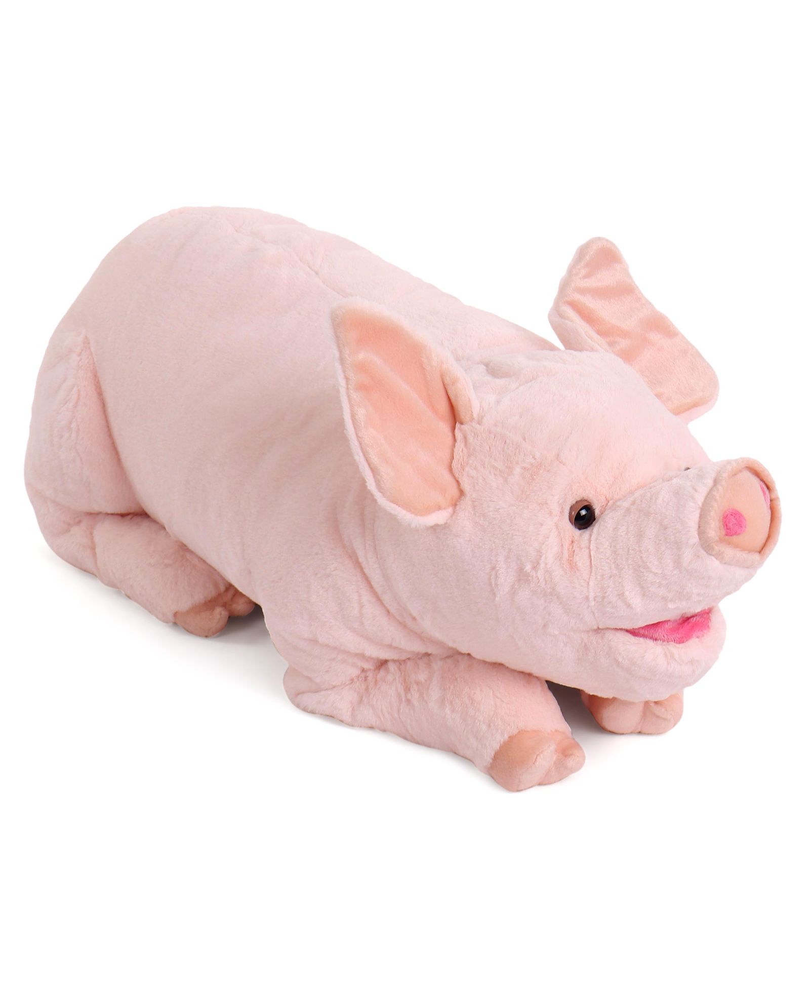 piggy soft toy